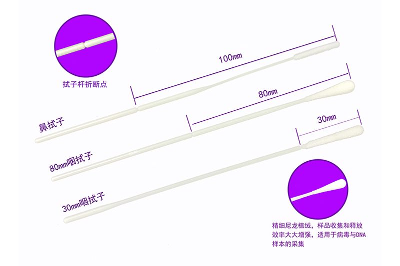 拭子主形象图2